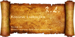Kosina Ludovika névjegykártya